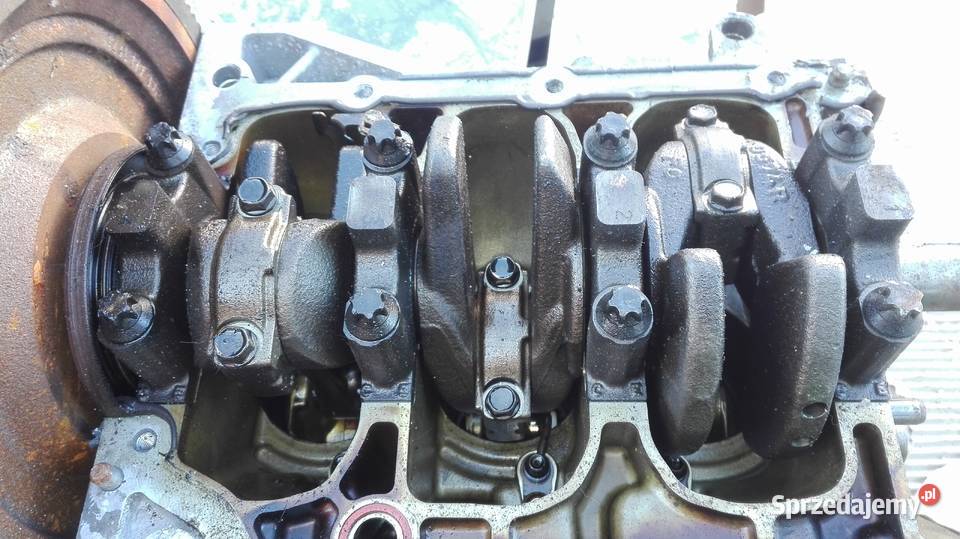 Renault Dacia 09 i Wał silnika Zbiersk