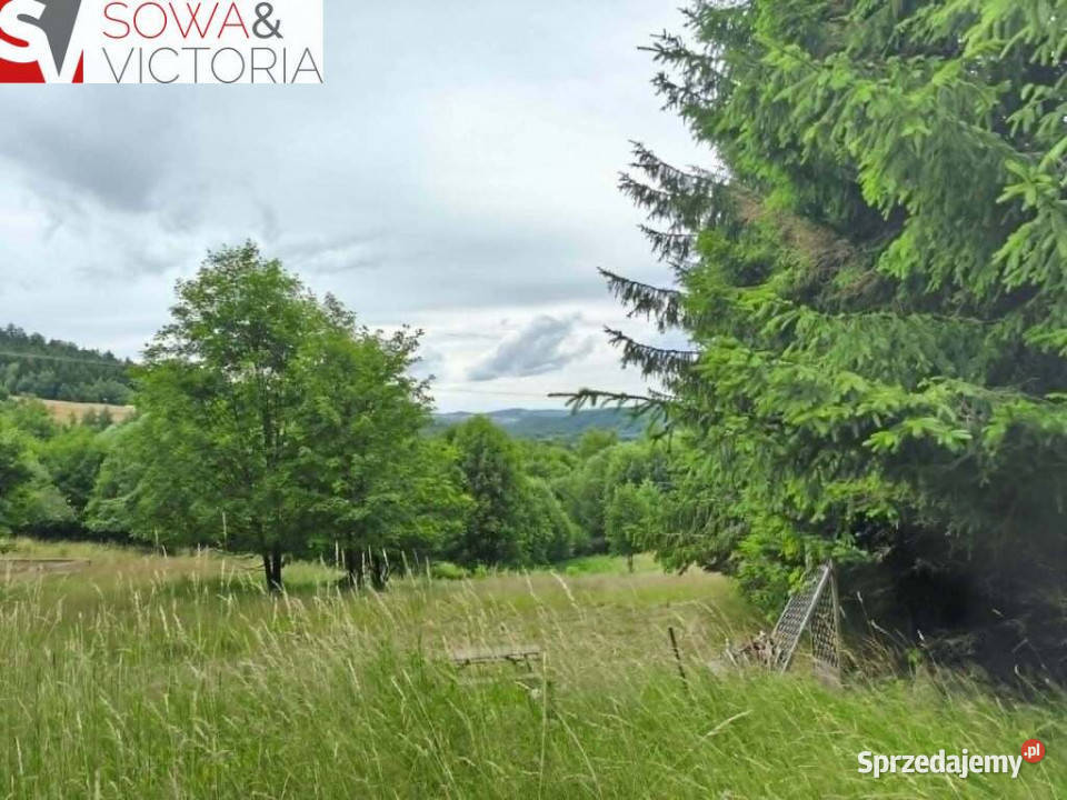 Mieszkanioworekreacyjna działka z widokami budowlana dolnośląskie Walim