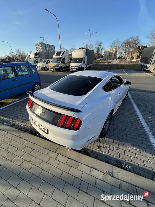 Ford Mustang 37 V6 biały Mustang Ford Opole