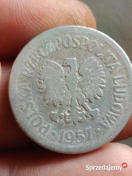 Sprzedam 1 zl 1957 qqqq Chełm