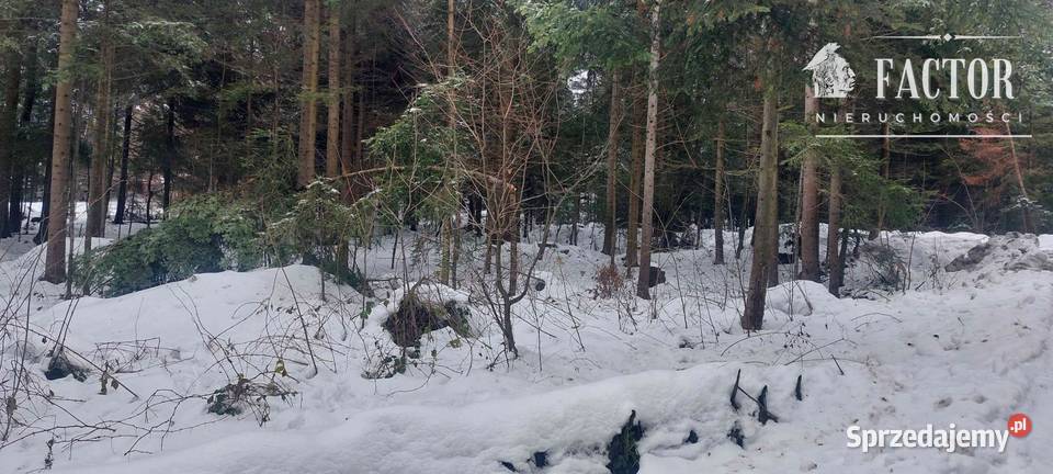 Biała Niżna działka budowlano rolno leśna