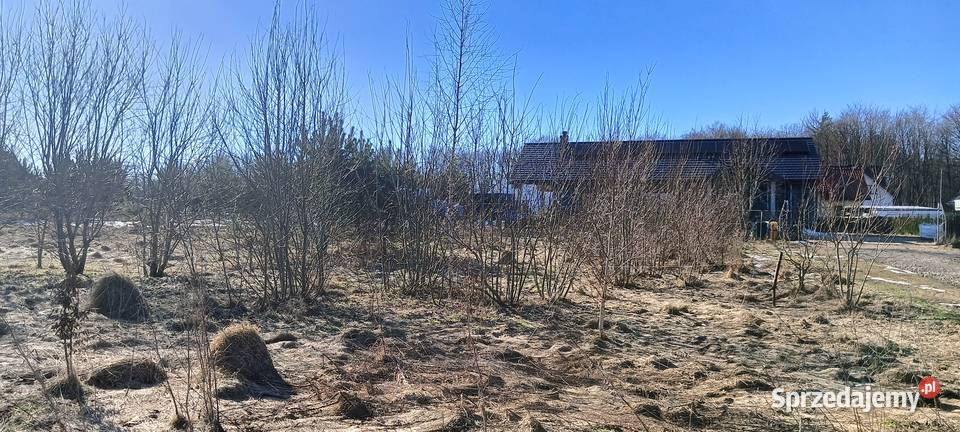 Działka z WZ w Górze k Wejherowa Sprzedaż pomorskie Góra