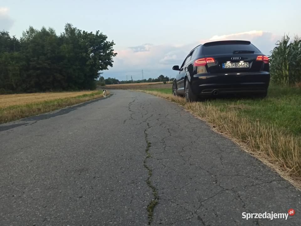 Audi a3 8p 3x SLine Bochnia