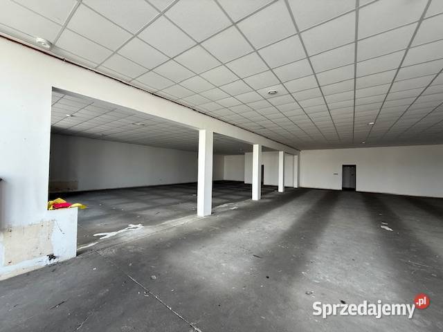 WYNAJMU LOKALU WITKOWO NOWA 2A od podwórza
