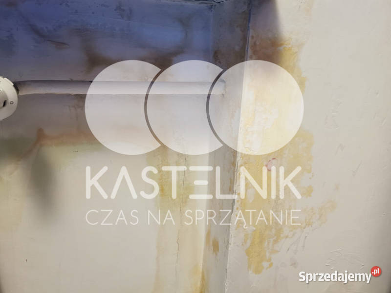 Odgrzybianie ścian Grudziądz Kastelnik Usuwanie