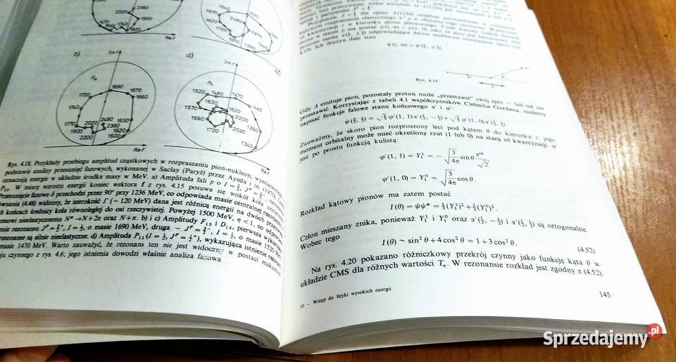 Wstęp do fizyki wysokich energii D H Perkins