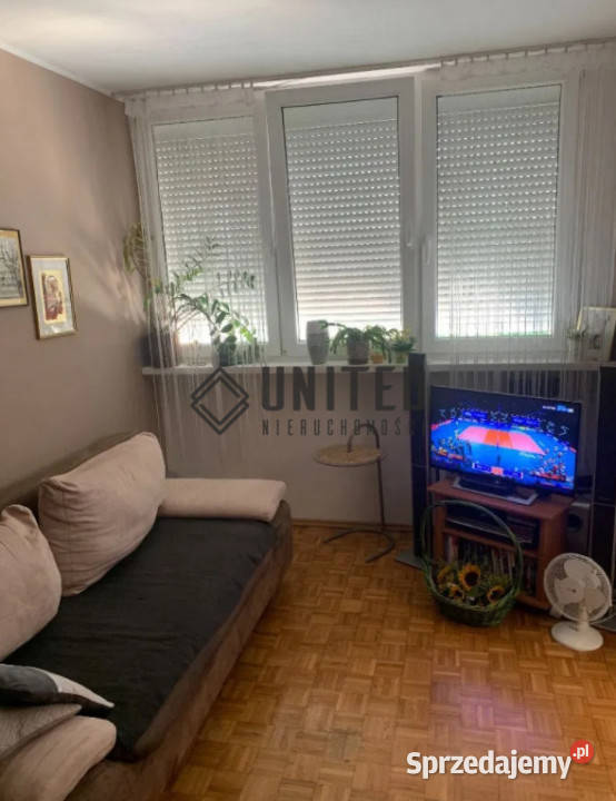 Mieszkanie 335m2 2 pok Wrocław sieć sprzedam