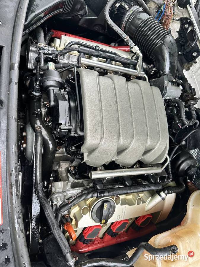 Audi a6c6 24 v6 wszystkie części Tarnogród