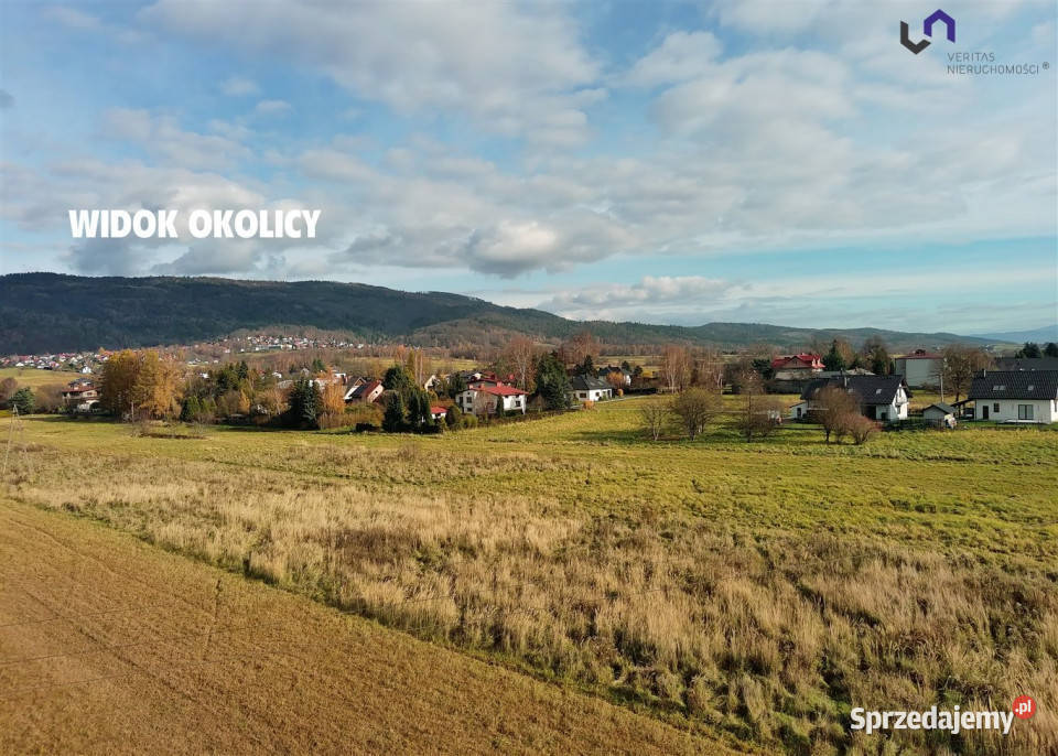 sprzedaży działki 1719m2 Wilkowice śląskie