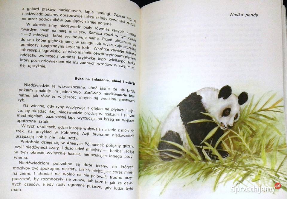To i owo o zwierzętach Jadwiga Wernerowa Pozostałe lubelskie Chełm sprzedam