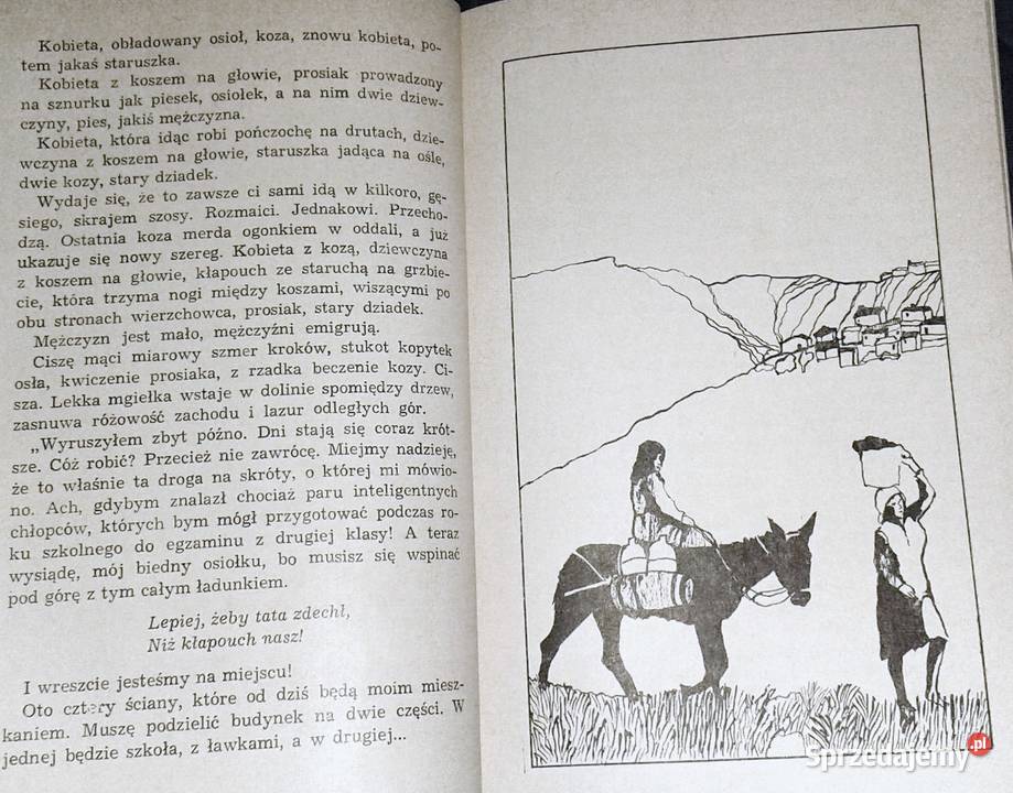 Jutro pojutrze Rene Reggiani Pozostałe Chełm