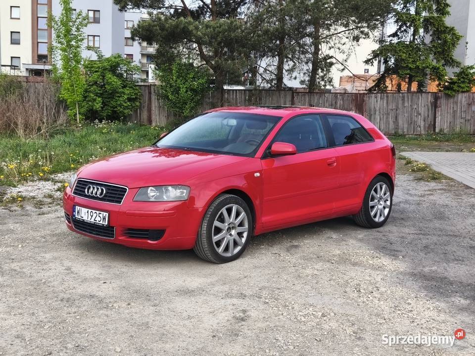 Audi A3 8P 20 TDI 140 Koni Bogate wyposażenie 2000cm3 Łuków sprzedam