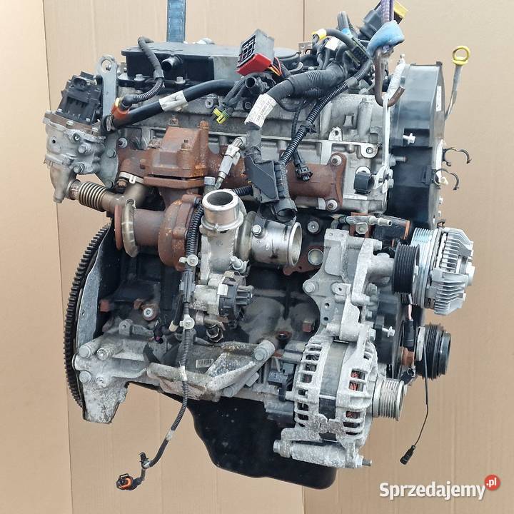 IVECO DAILY IV FIAT DUCATO SILNIK NA CZĘŚCI Blok silnika Trzciel sprzedam