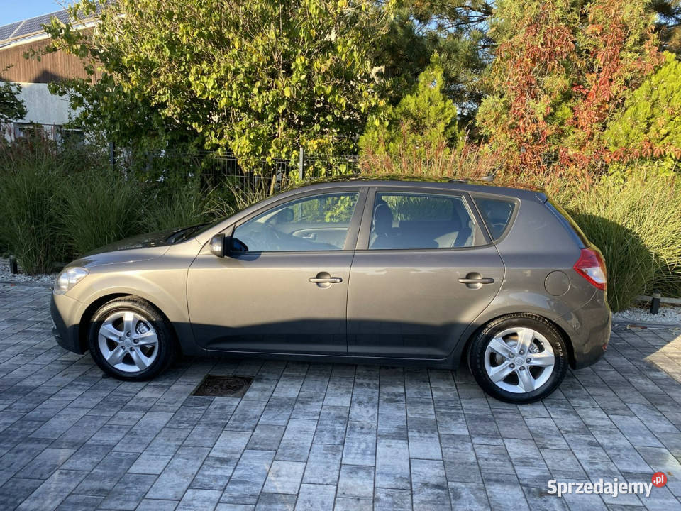 Kia Ceed Zadbana bezwypadkowa przepiękny perłowy Kia Poznań sprzedam