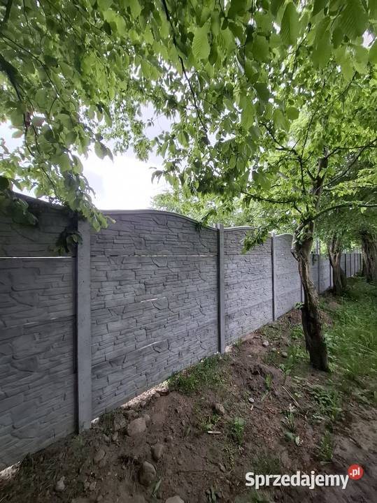 BestBet Ogrodzenia Panel Palisadowe Producent Ostrołęka