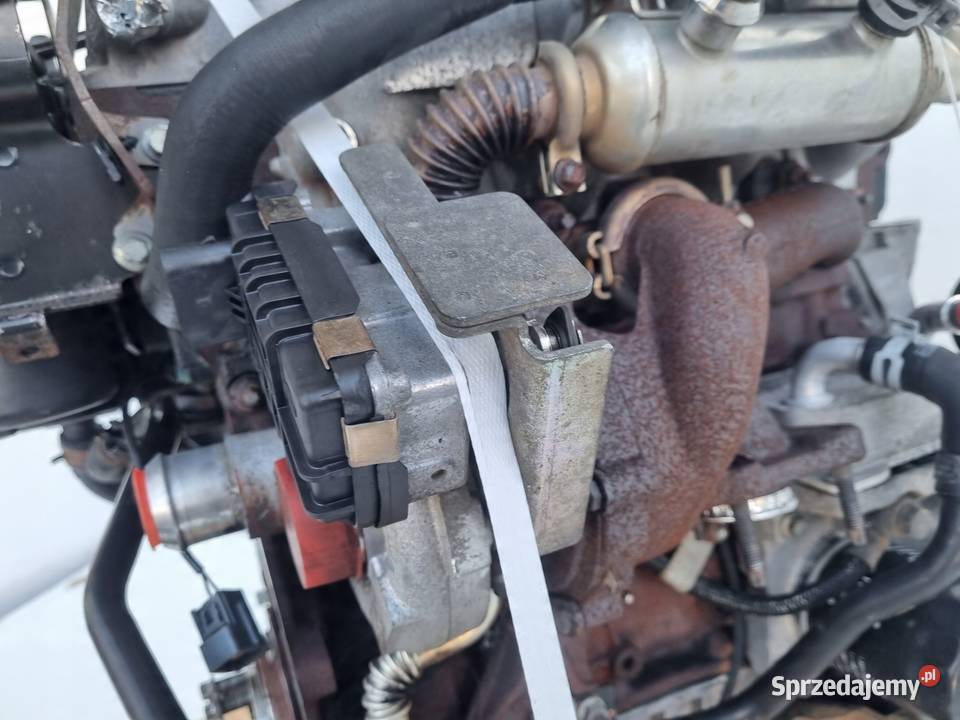 SILNIK KOMPLET Ford C C 18 TDCI 115 ładnie pali osobowe Janów