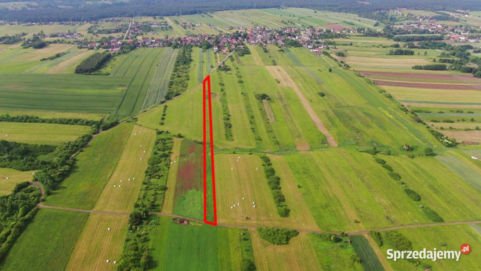 Działka rolna PorębaNiwki rolna śląskie Poręba