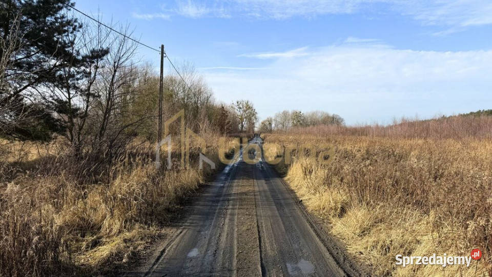 Działka 1552 m2 Żółwia Błoć 4491 m2 Sprzedaż