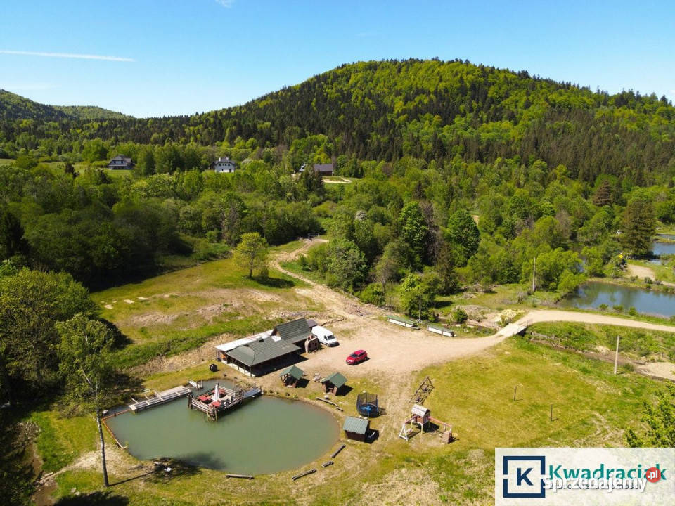 Działka 11659m2 Krzywe