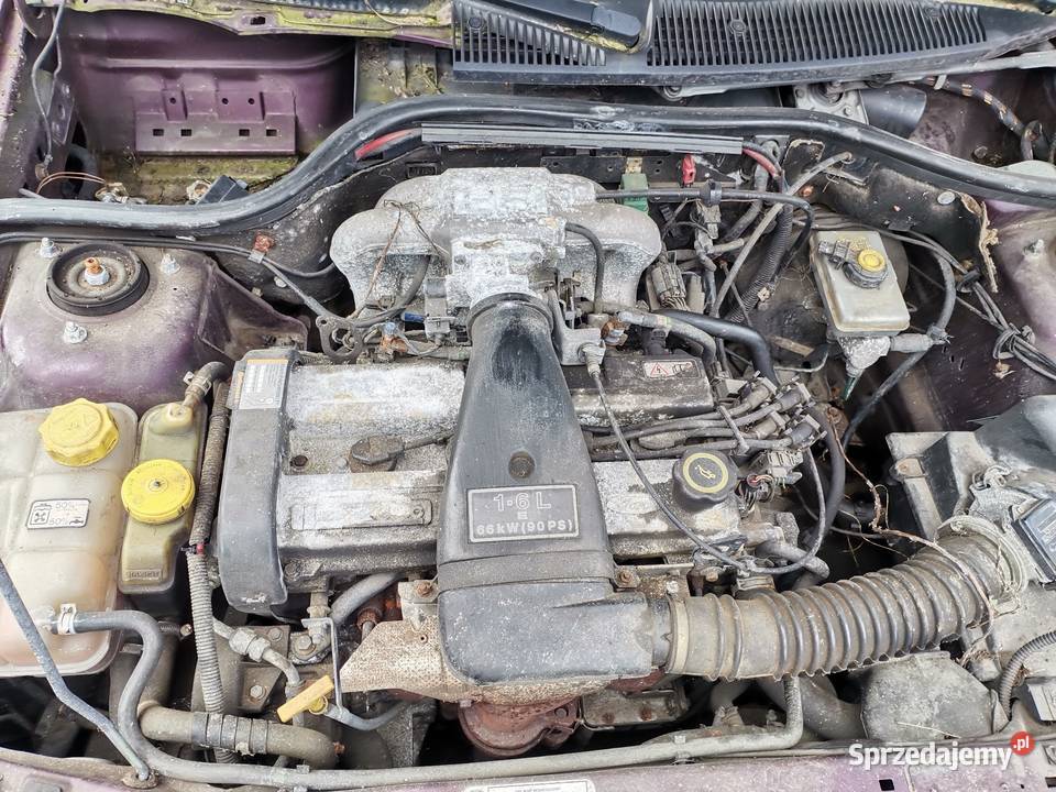 Sprzedam wszystkie części do Renault escort Gubin sprzedam