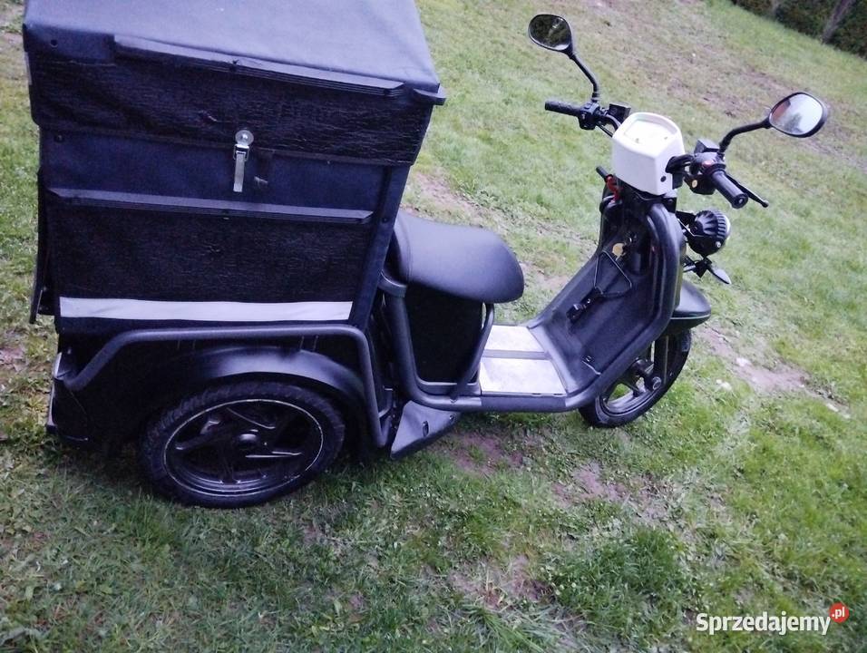 Ligier profesjonal pulse 3 50cm3