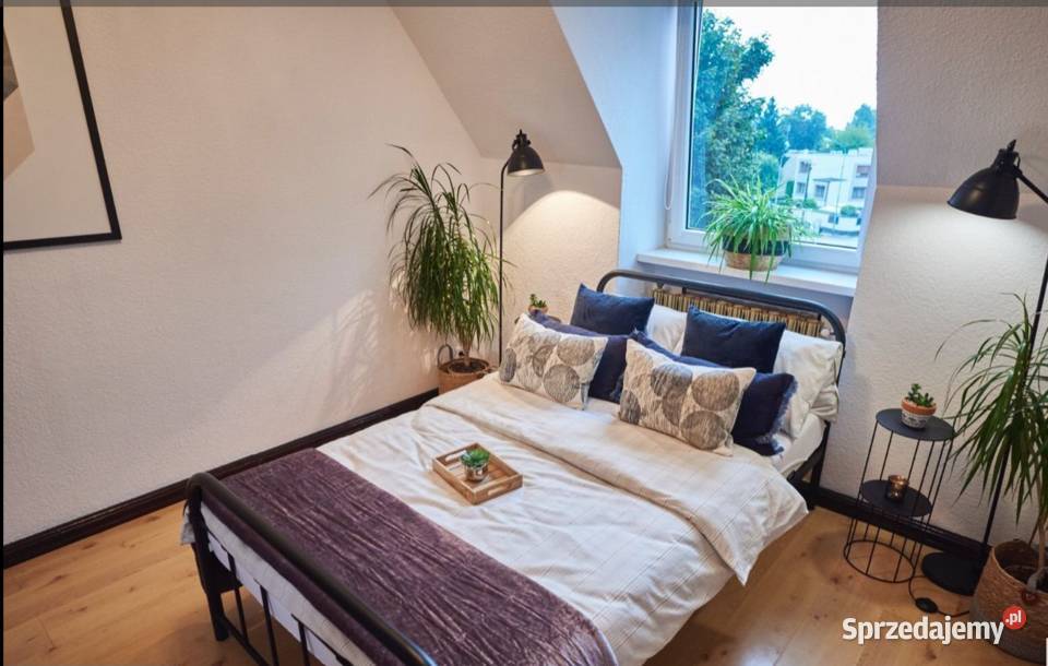 3pok 64met Ceglanej ROZKŁAD Legnica