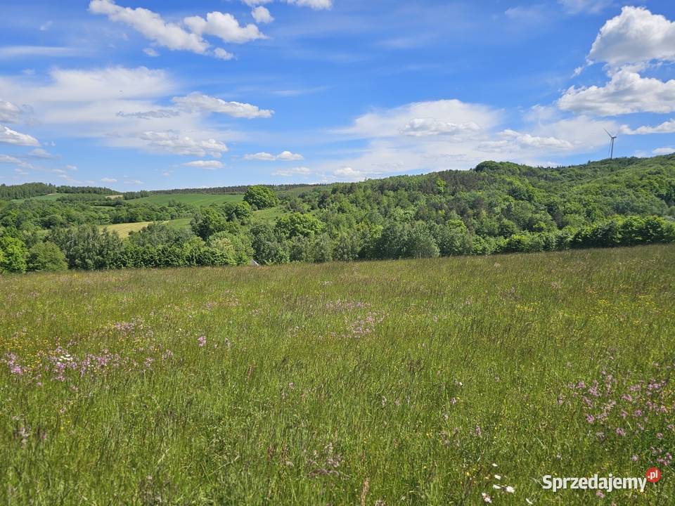 Syndyk sprzeda udział 14 w domu w Wolicy mieszkalny podkarpackie Bukowsko sprzedam