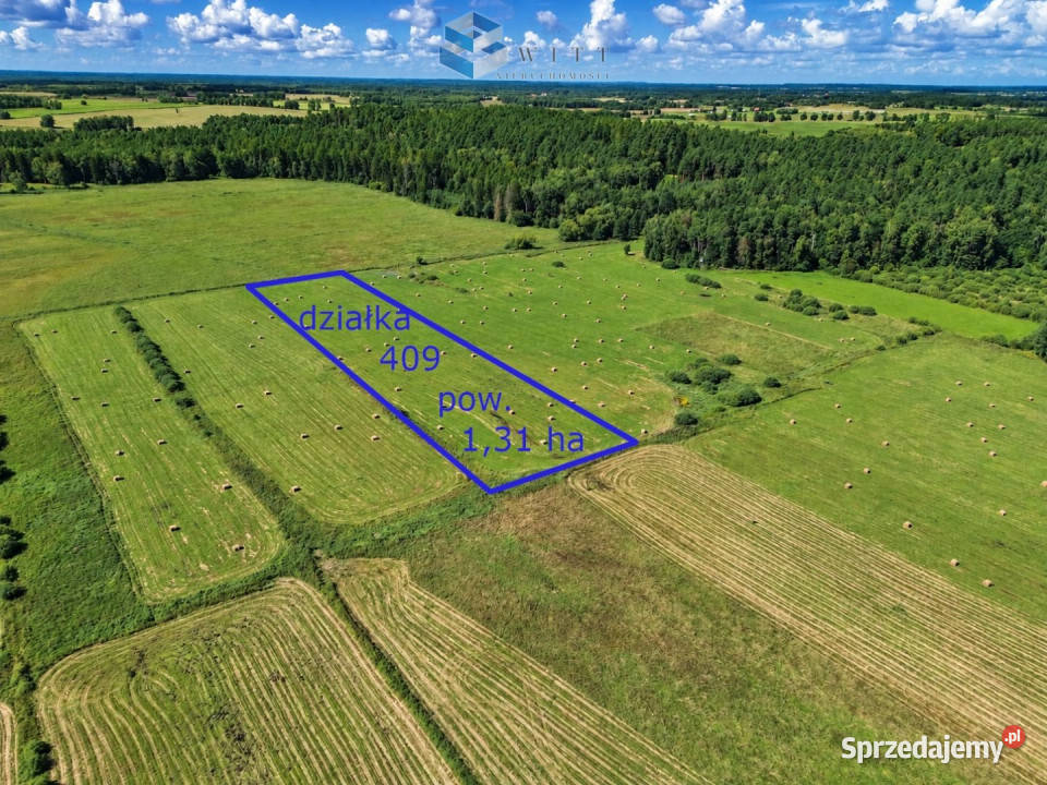 Działka Liwa 31400m2 rolna warmińsko-mazurskie