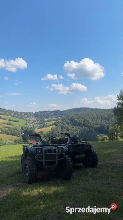 yamaha kodiak 400 Krzyżówka
