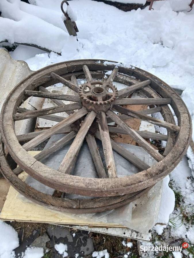 Koło drewniane siewnika nieuszkodzony Widełka