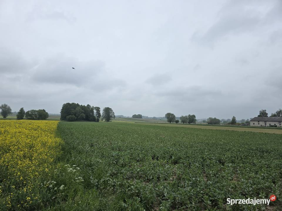 Działka rolna 8313m2 III klasa ziemi Regimin sprzedam