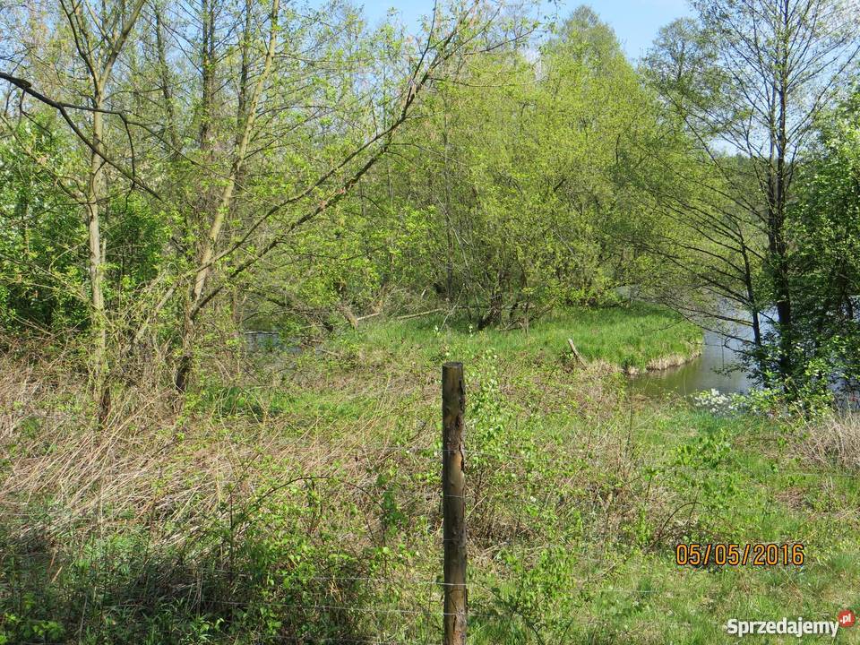Działka z bezpośrednim dostępem do rzeki i drogi 76m Radachówka