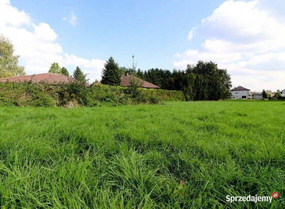 Cholerzyn działki budowlane 165 ara Sprzedaż
