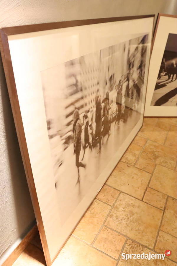 Komplet pięknych fotografii w metalowych ramach Pszczyna