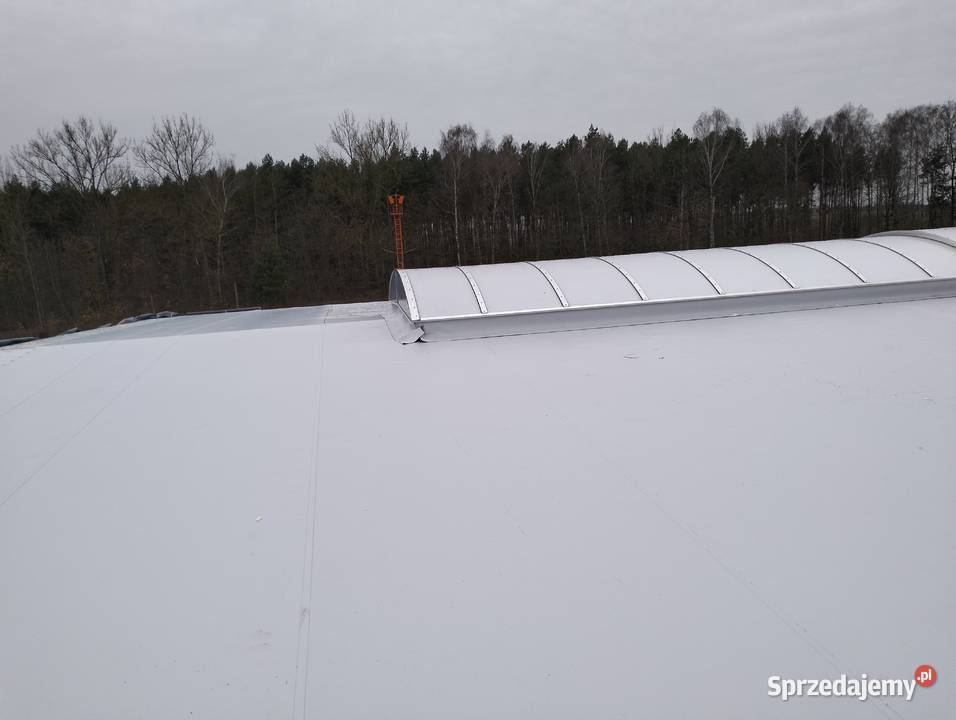 Dachy pvc epdm Kielce