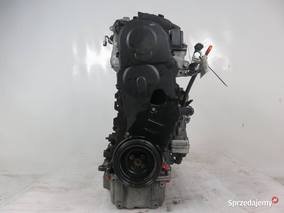 SILNIK VW GOLF V 1K1 19 TDI BLS 105 KOMPLETNY