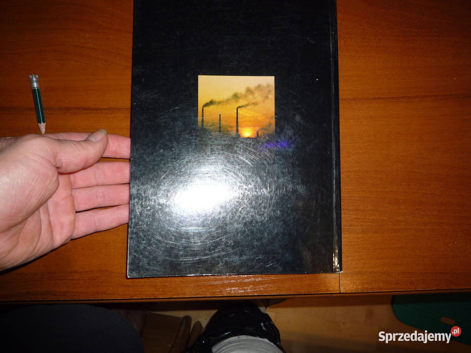 strategia ekorozwoju polski maciej nowicki Książki i Podręczniki Lutowiska