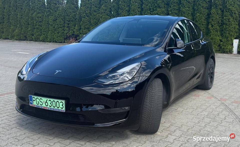 Tesla Y Long Range wersja europejska FV 23 Borek Wielkopolski sprzedam