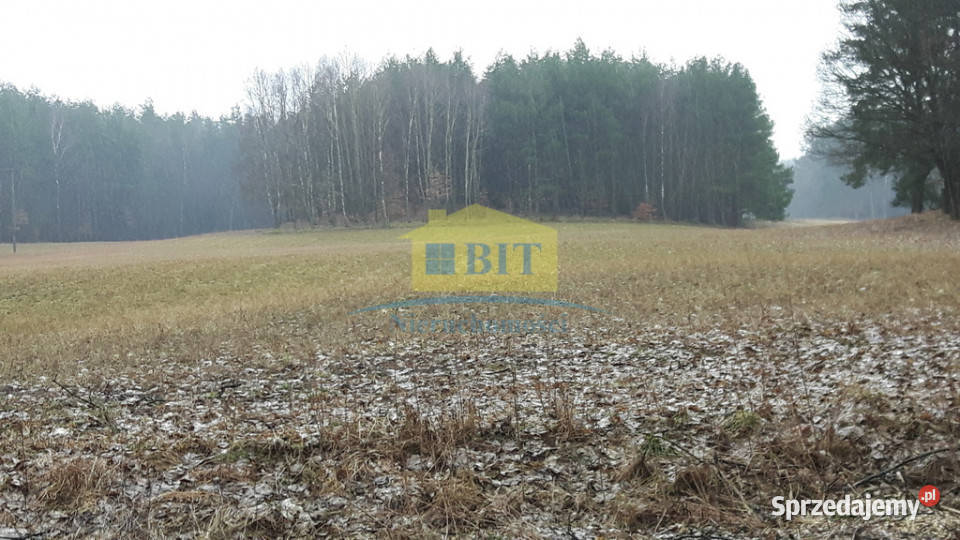 Działka rolna 342 ha ładne położenie zachodniopomorskie Stare Gonne
