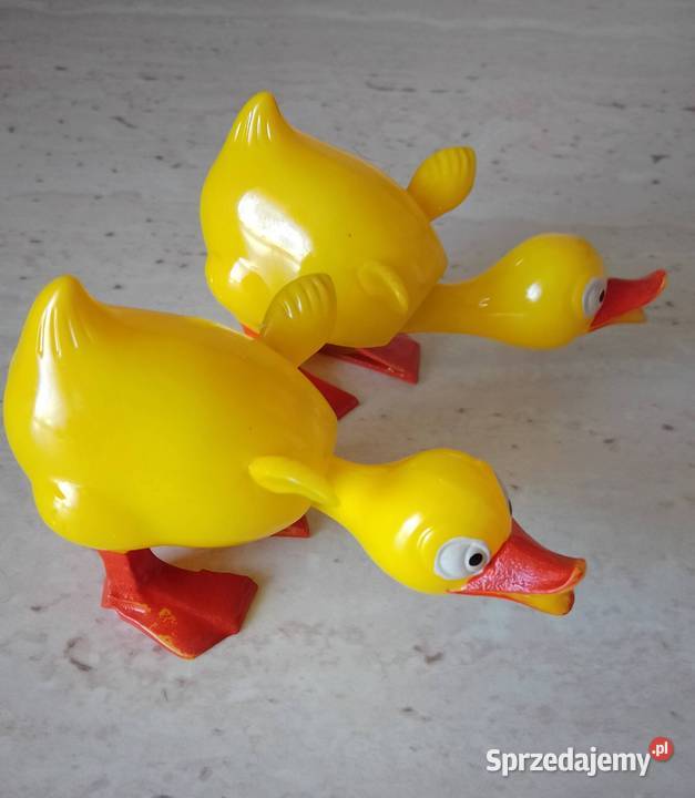 Kaczki z ruchomą główką Nakło nad Notecią