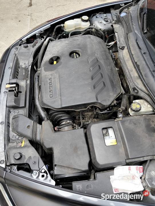 Volvo S40 16D 115 Serwis ASO diesel Jordanów