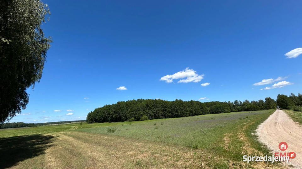 Grunt sprzedam 25280m2 Choroszcz 17zł/m2 sprzedam