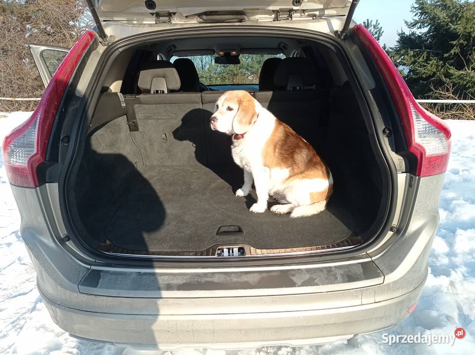 Volvo XC 60 T5 DriveE Rok produkcji 2015 mazowieckie Warszawa