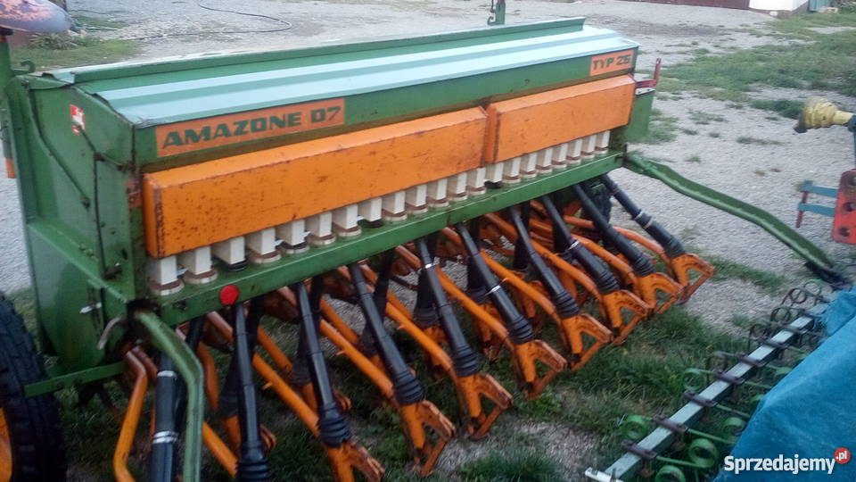 siewnik amazone nordsten isaria poznaniak świętokrzyskie Łagów