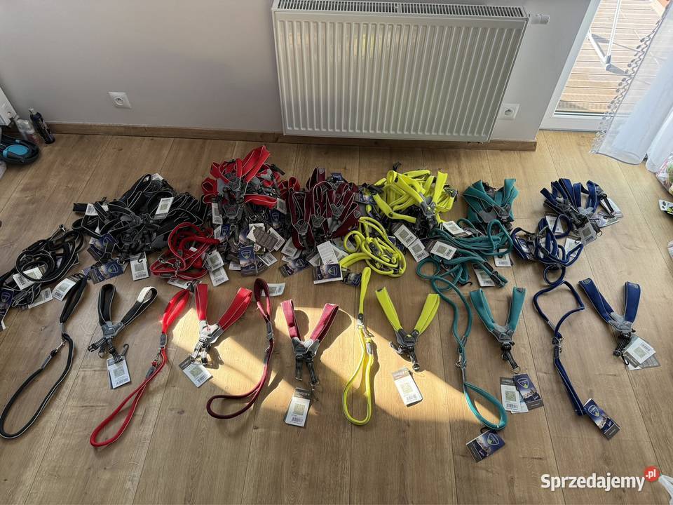 Akcesoria psów różne rozmiary kolory Namysłów