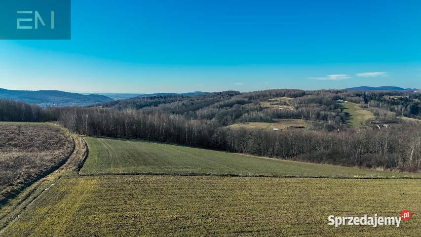 Działka Niewodna 5600m2