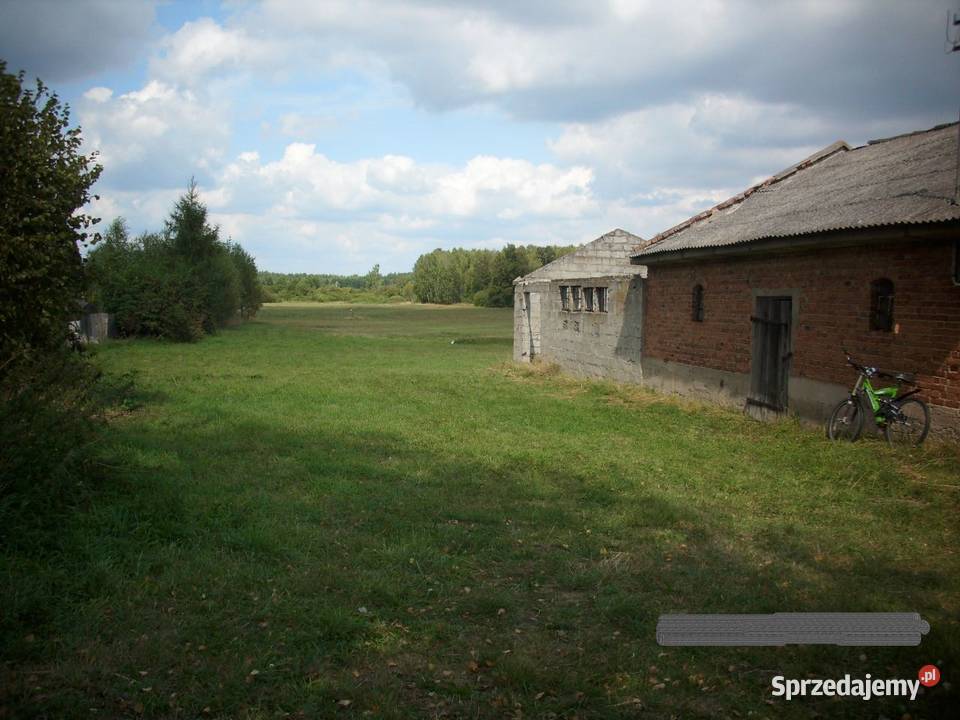 Działka siedlisko Romanów 43zł/m2