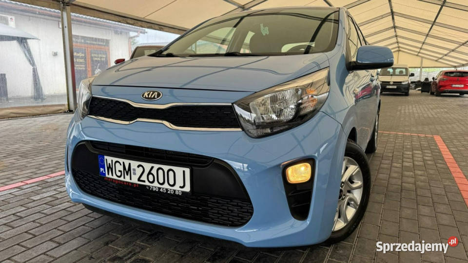 Kia Picanto Kia Picanto Automat III 2017 1248cm3 Zduńska Wola