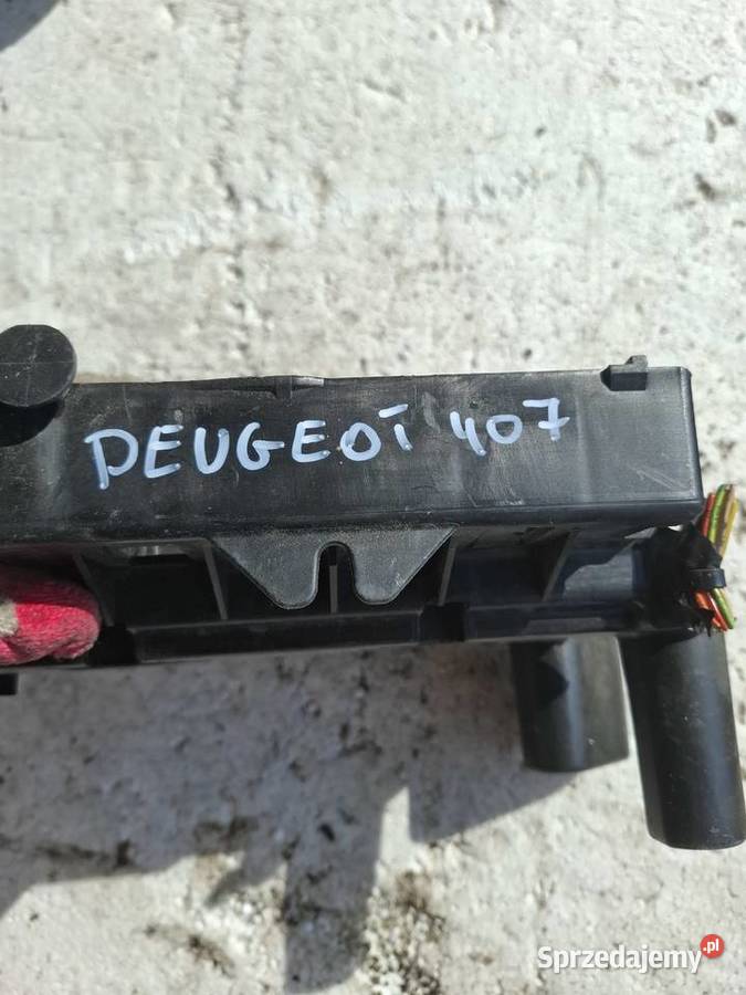 Skzrynka Bezpieczników Peugeot 407 osobowe Wisznice