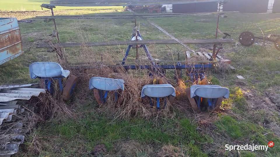 Sadzarka rozsady 4o rzędowa talerzowa Zamość